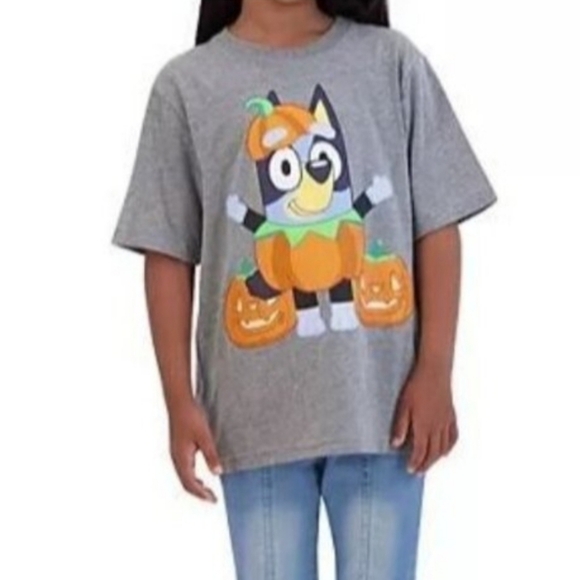 Bluey Unisex Pumpkin Halloween T-Shirt Gray - Picture 1 of 9